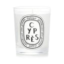 شمع معطر - Cypres (السرو) من Diptyque