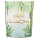 100% Beeswax Votive Candle - Tropical Forest by Carroll & Chan
