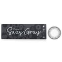 1 Day Iris Suzy Gray Color Contact Lenses - - 3.50 by Clalen