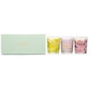 3 Votive Set: Sakura, Jasmine, Rose & Cranberry, Ginger Lily من Carroll & Chan