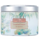 شمع قصديري بشمع العسل 100% - Tropical Forest من Carroll & Chan