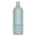 Scalp Solutions Balancing Shampoo by Aveda