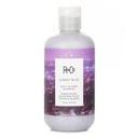 Sunset Blvd Daily Blonde Shampoo من R+Co