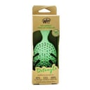 فك تشابك الشعر Go Green - # أخضر 1pc من فرشاة مبللة