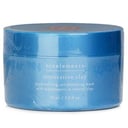 ماسك طمي مرمم لتنقية المسام من Bioelements