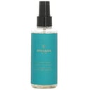 Lifting Spray (For Weightless Volume) 150ml/5oz by Rita Hazan
