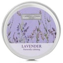 100% Beeswax Mini Tin Candle - # Lavender من Carroll & Chan