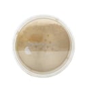 DermaMinerals Buildable Coverage Loose Mineral Powder SPF 20 - # 4N 11.4g/0.4oz by DermaQuest