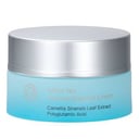 White Tea Moisturizing Eye Cream by mori beauty by Natural Beauty