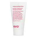 Mane Attention Protein Treatment من Evo