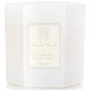Candle - Cucumber & Lotus Flower by Antica Farmacista