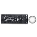 1 Day Iris Suzy Gray Color Contact Lenses - - 2.00 by Clalen