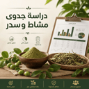 دراسة جدوى مشاط و سدر