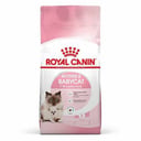 Royal Canin Dry Food for Kitten and Nursing Mothers
