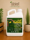 كاتبن