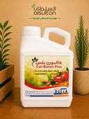 كالبورن بلس