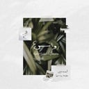 خميسات رواس - المرحلة الجامعية 