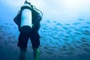Diving Tank Rental (Azul Beach)