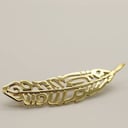 بروش الريشة