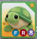 سلحفاه fr