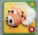 cabbit R