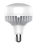 Megaman YTPDGLE5 - High Bay E40 LED Bulb - Robust Design, Experience Illumination at Its Best! Buy Now for Enhanced Visibility!