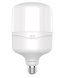 Megaman YTT120Z1 - E270 High Bay LED Luminaire - Ultra-Bright Illumination, Flicker-Free Performance, Energy-Saving Solution - Light Up Your Facility Efficiently!