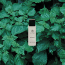 Patchouli Scentique