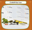 دورة حياة الضفدع
