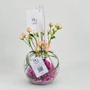 3421-50