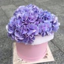 2734