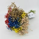 Colorful Gypsophila Bouquet 