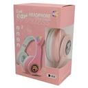 RGB Cat Ear Headphone B39 No.391E