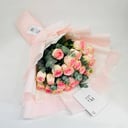 10850-480