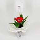 Gerbera plant No.9587