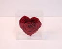 2372-558