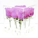 Acrylic flower box 9 pcs
