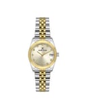 Daniel Klien Watch | Dk.1.13493-4