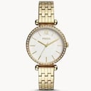 Fossil Watch | Bq3498