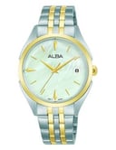 ALBA WATCH | AG8P36X
