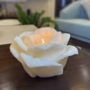 LOTUS WAX CANDLE HOLDER