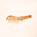 Gold  serving clip with precious stone