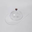 Plexi Platter Medium