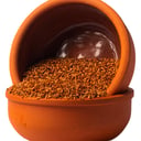 رشاد القصيم