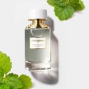 عطر بوشرون باتشولي دو أنجكور 125مل