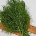 Fennel leaves
