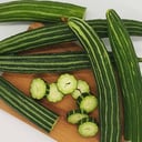 Snake Cucumber