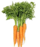 Carrots with Leaves