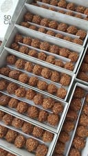 ترافلز جوز الهند