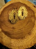 Brass earrings